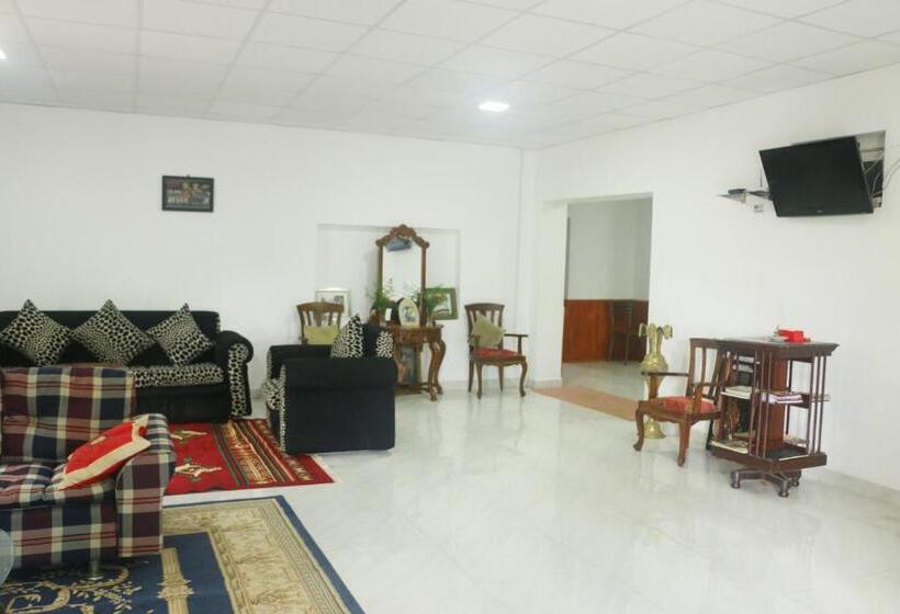 פנסיון Silver Meir Bungalow