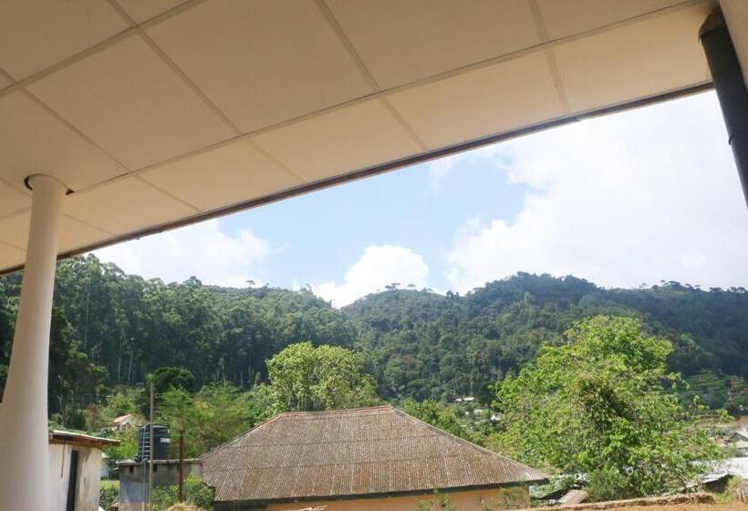 פנסיון Silver Meir Bungalow