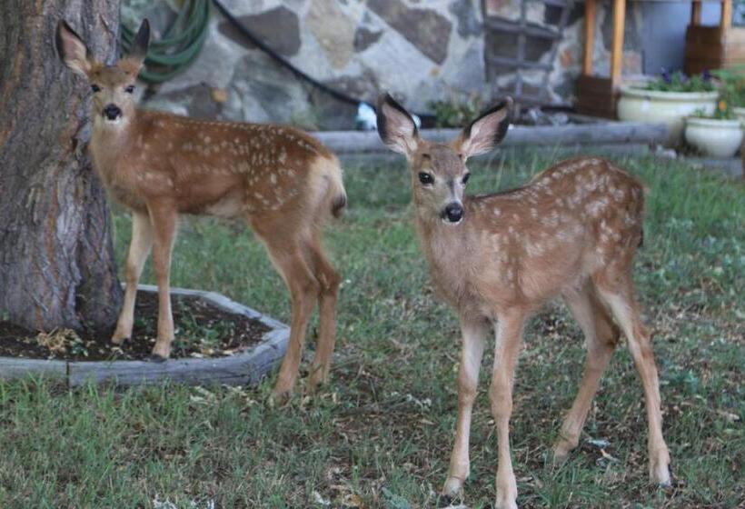 ペンション Sunshine And Wine Loft
