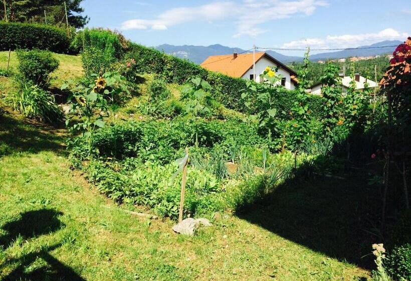 پانسیون Tourist Rooms Sajovic