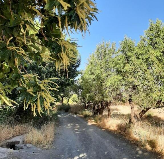 بنسيون Vakantieboerderij La Balsa