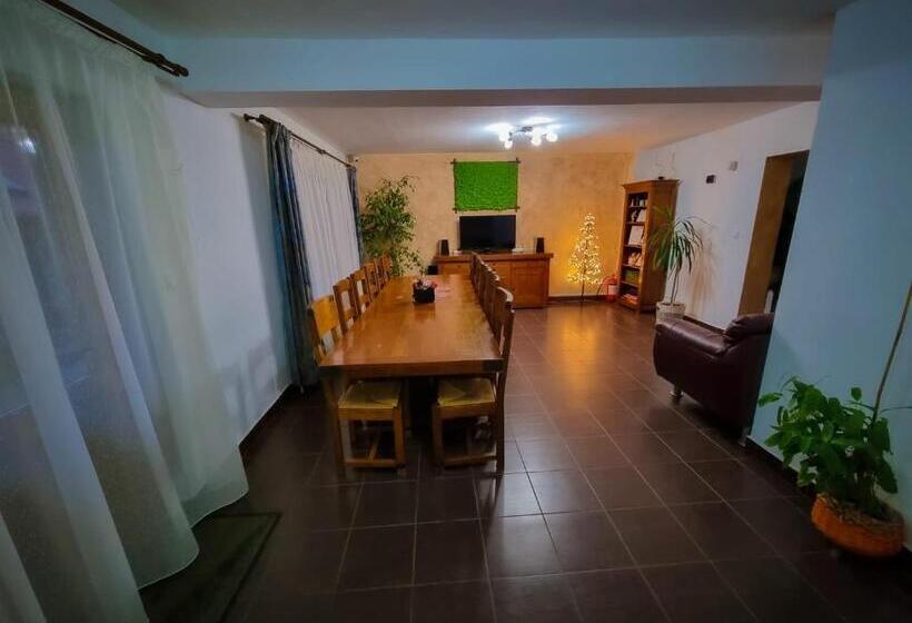 Пансион Vila Alex