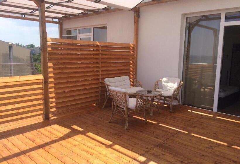 פנסיון Vila Brandusa