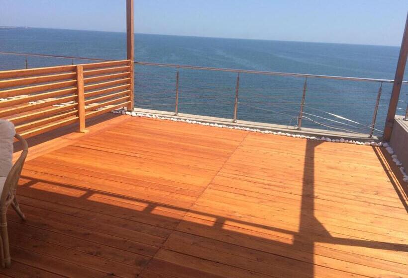 פנסיון Vila Brandusa