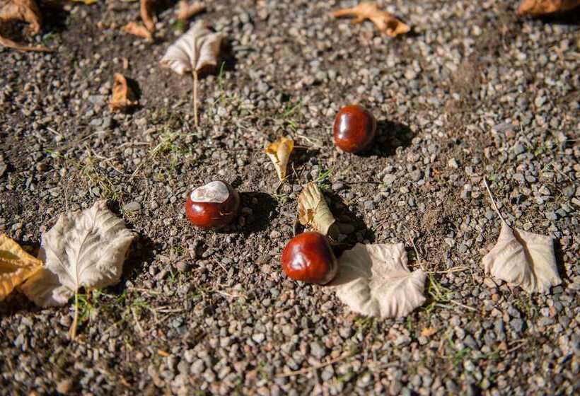 민박 Gasthaus Mörla