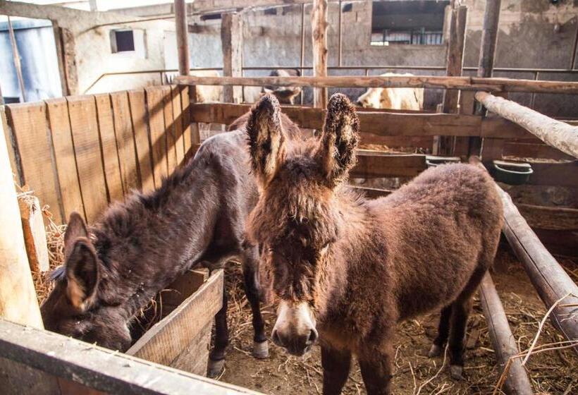 فندق Agriturismo Fassi