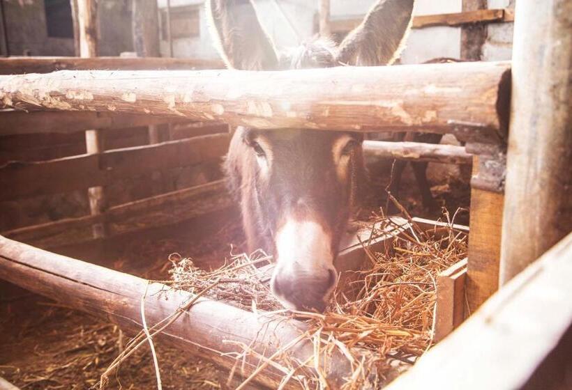 فندق Agriturismo Fassi