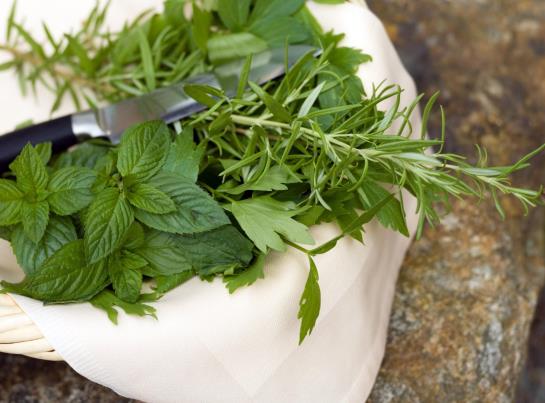 Резиденция Aktivhotel Crystal