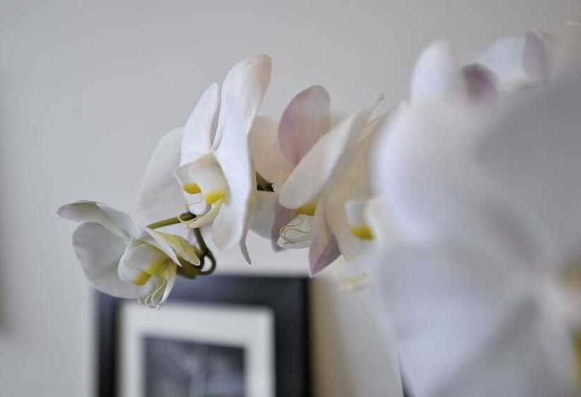 בית מלון כפרי Al Mulino