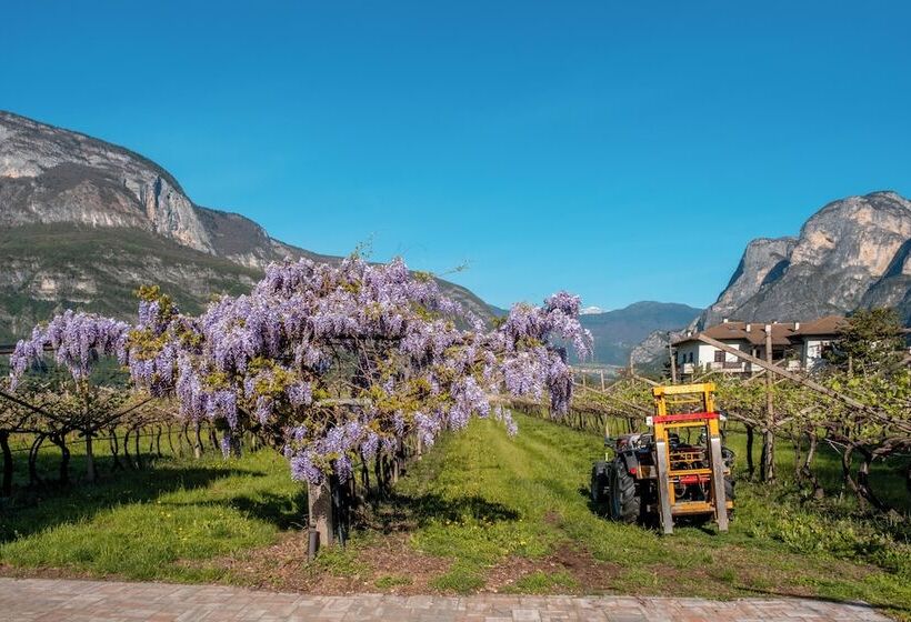 בית מלון כפרי Antico Fienile Agritur