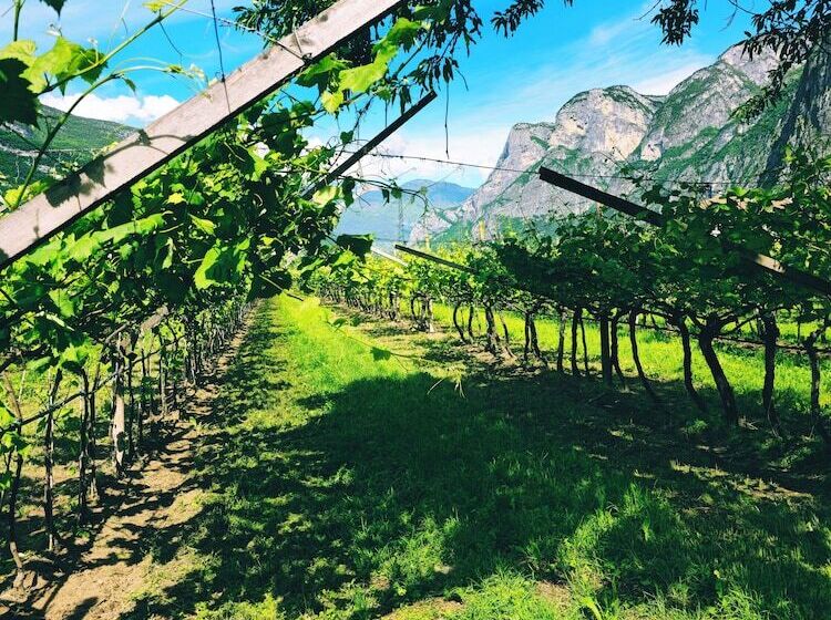 בית מלון כפרי Antico Fienile Agritur