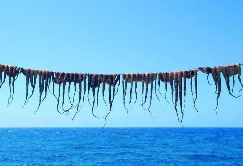 בית מלון כפרי Astoria