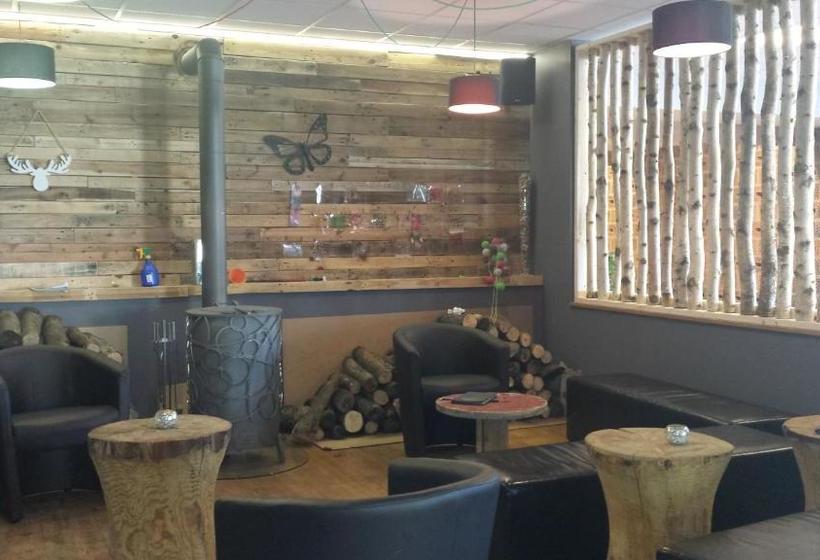 酒店 Auberge De Lavacherie