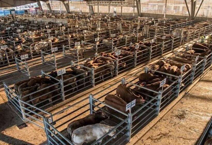 酒店 Logis Hôtel Aux Berges De L Aveyron