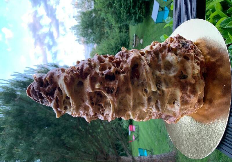 酒店 Logis Hôtel Aux Berges De L Aveyron