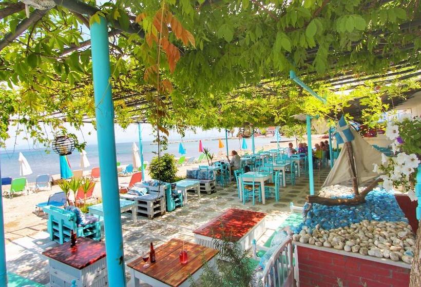 호텔 Avra Budget Beach Rooms