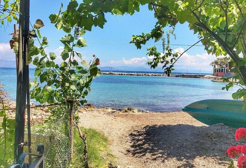 호텔 Avra Budget Beach Rooms