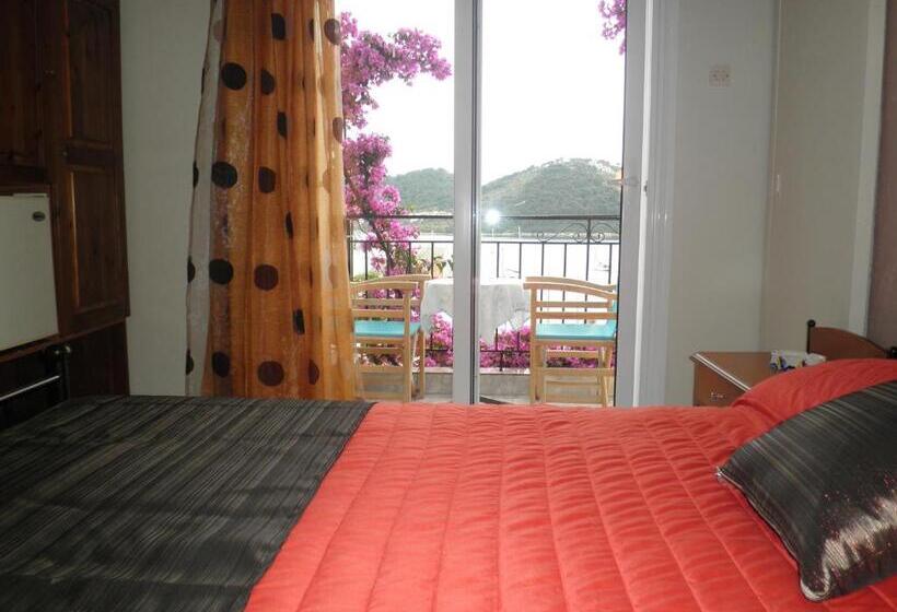 בית מלון כפרי Babis