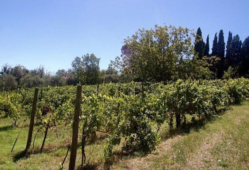 Отель La Spiga D Oro