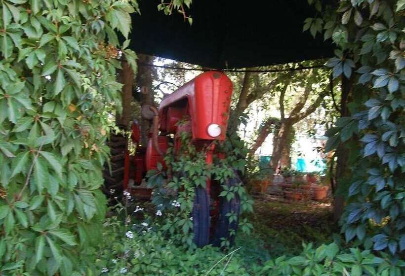 Отель La Spiga D Oro