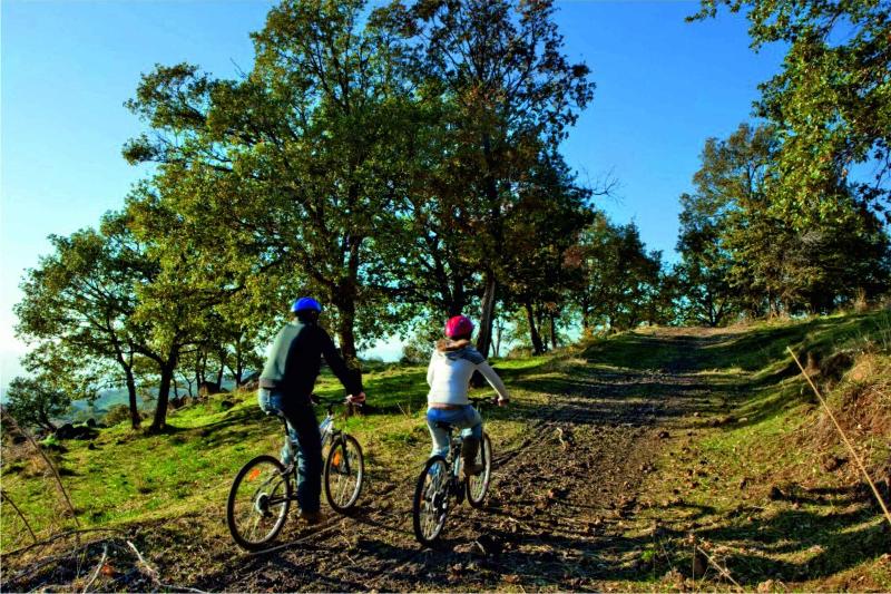 Отель Bosco Ciancio