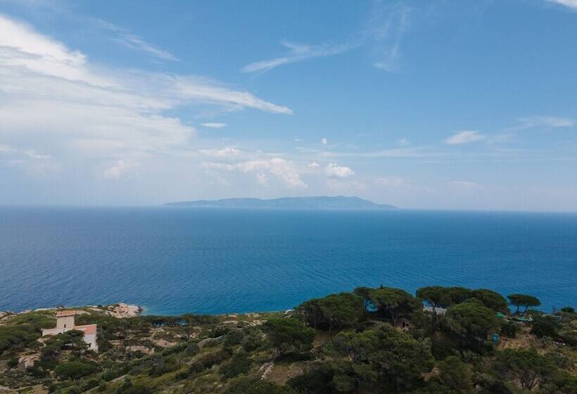 فندق Castello Monticello