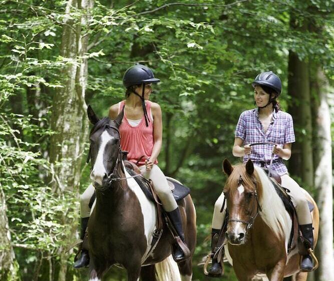 호텔 Center Parcs Les Bois-francs