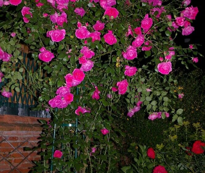 Отель La Cognée