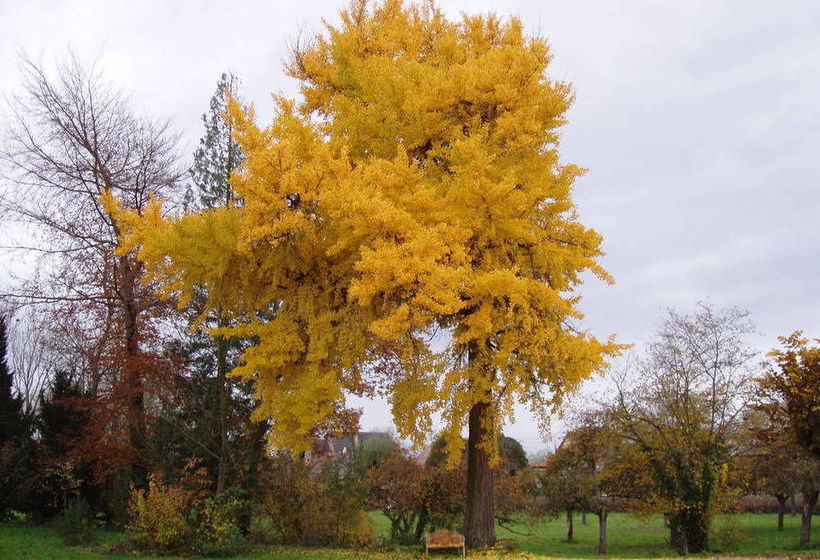 ホテル Château De Werde