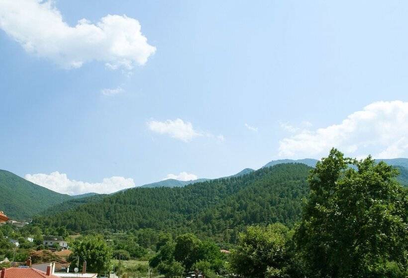 בית מלון כפרי Electra