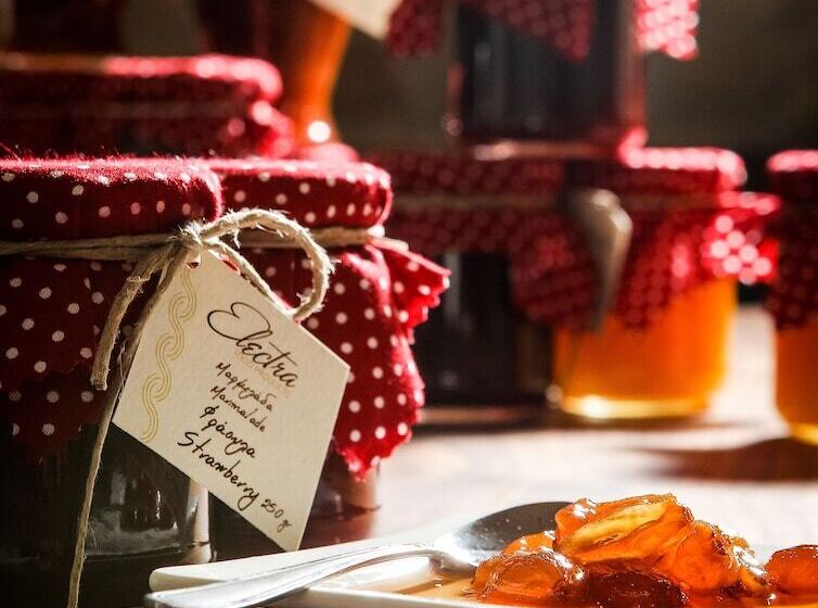 בית מלון כפרי Electra