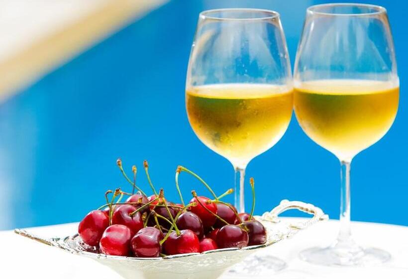 בית מלון כפרי Electra