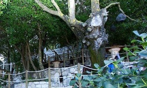 בית מלון כפרי Faros Suites