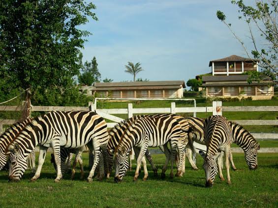 Отель Fazenda Boa Luz