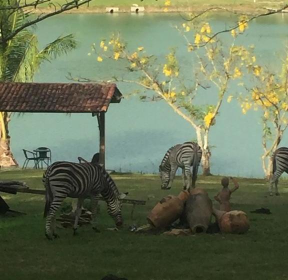 Отель Fazenda Boa Luz