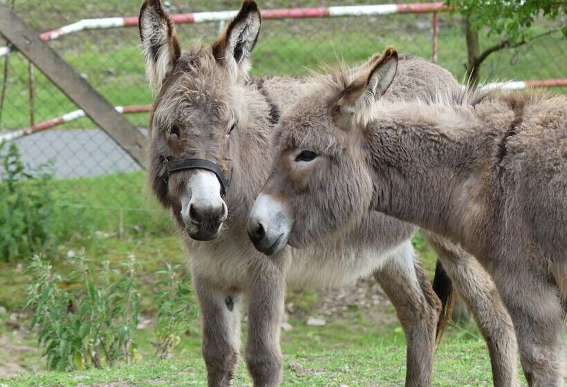 Ferienhotel Wolfsmühle