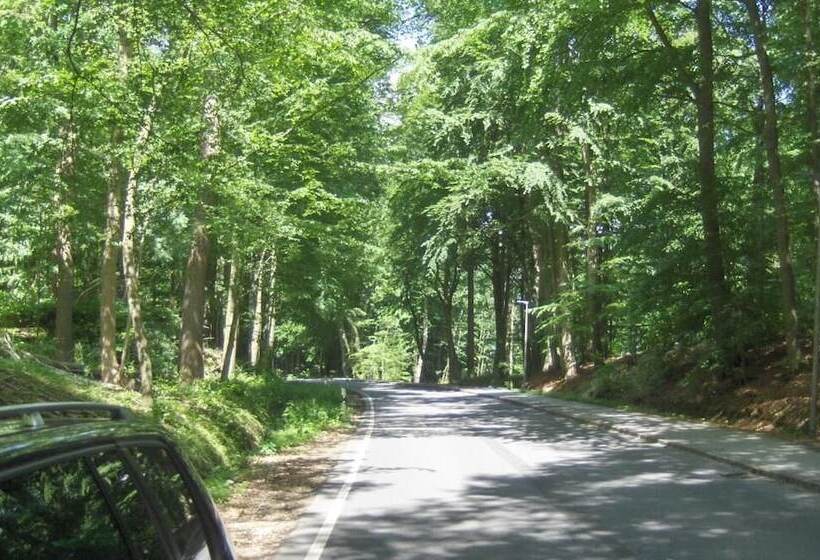 בית מלון כפרי Frøslev Kro