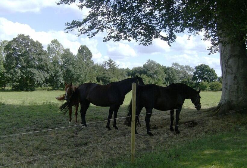 בית מלון כפרי Frøslev Kro