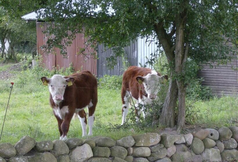 בית מלון כפרי Frøslev Kro