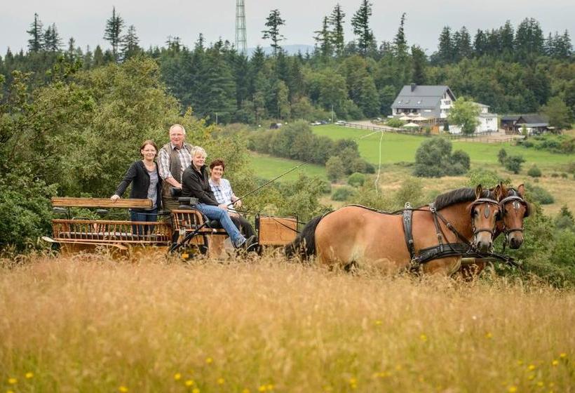 호텔 Ginsberger Heide