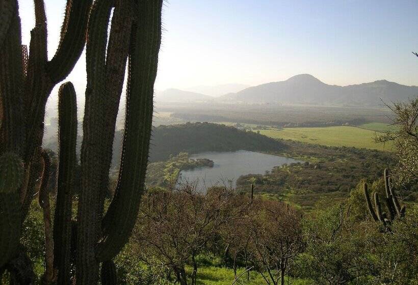 호텔 Hacienda Los Lingues Chile Valle De Colchagua