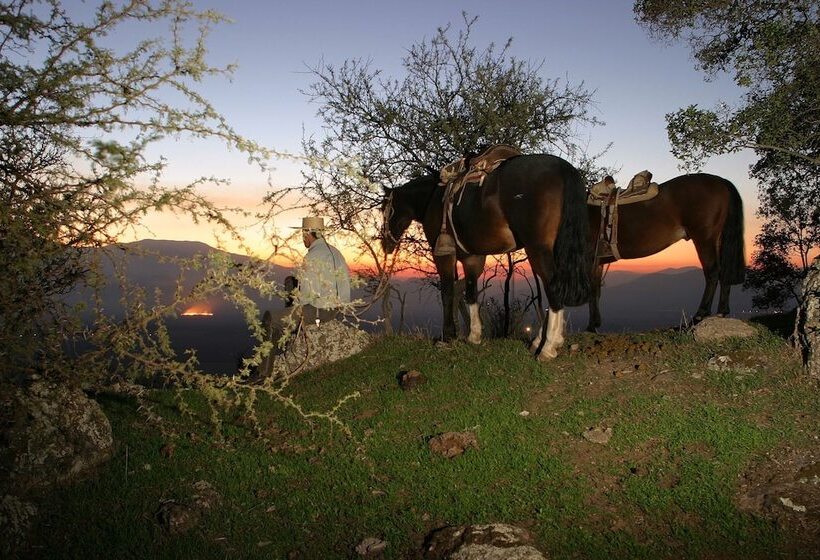 호텔 Hacienda Los Lingues Chile Valle De Colchagua