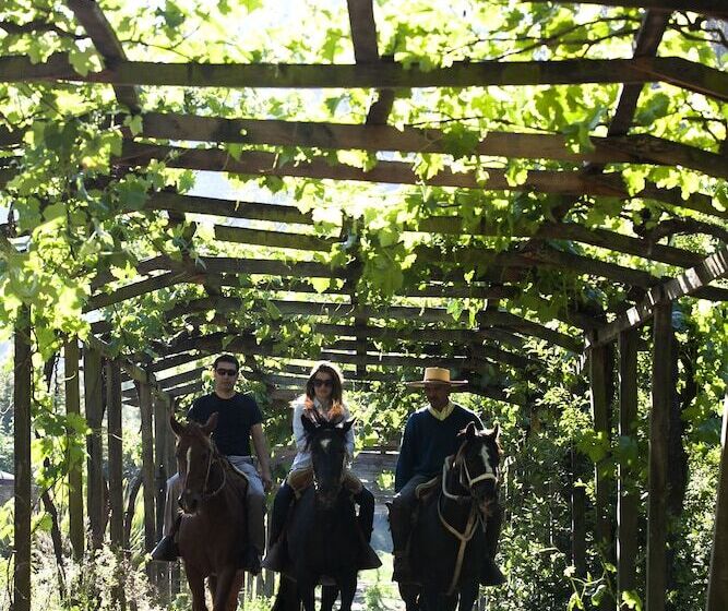 호텔 Hacienda Los Lingues Chile Valle De Colchagua