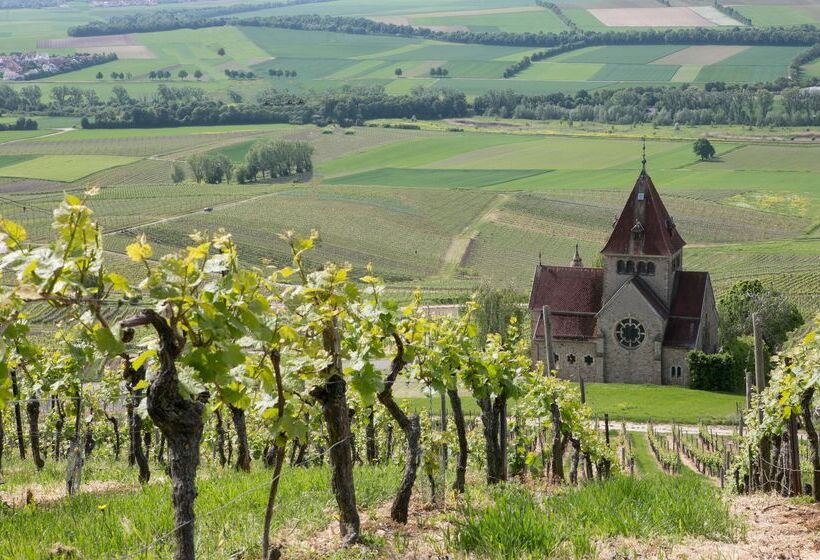 酒店 Hofgut Wißberg  Das Weinberg