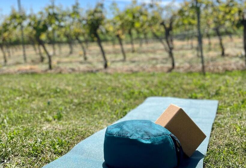 酒店 Hofgut Wißberg  Das Weinberg