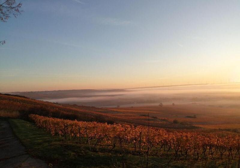 酒店 Hofgut Wißberg  Das Weinberg