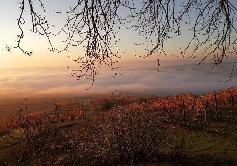 酒店 Hofgut Wißberg  Das Weinberg