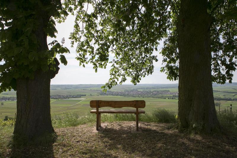 酒店 Hofgut Wißberg  Das Weinberg