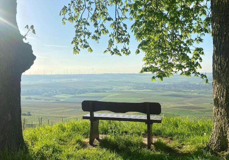 酒店 Hofgut Wißberg  Das Weinberg
