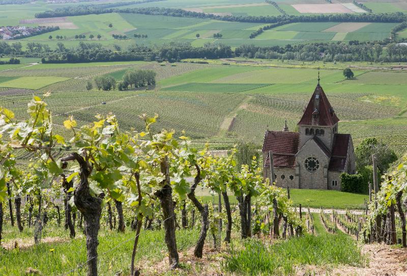 酒店 Hofgut Wißberg  Das Weinberg